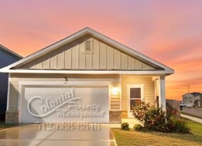 207 Waterbuck Lp in Hutto, TX - Building Photo