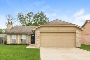 10018 Spotted Horse Dr in Houston, TX - Building Photo