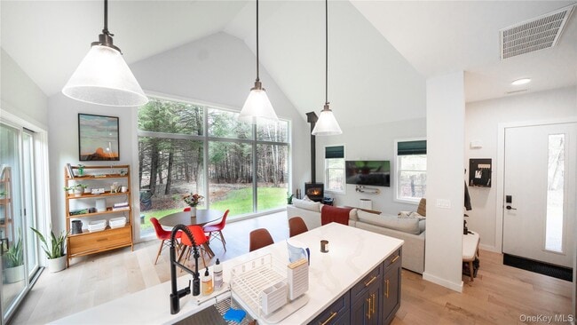 102 Rider Hollow Rd in Arkville, NY - Building Photo - Building Photo