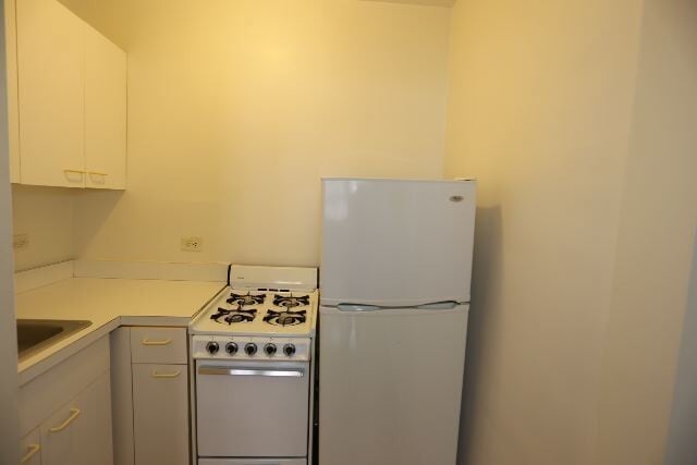 543 W Wellington Ave in Chicago, IL - Building Photo - Building Photo