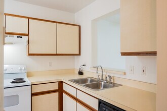 156 Ivy Ln in Kissimmee, FL - Building Photo - Building Photo