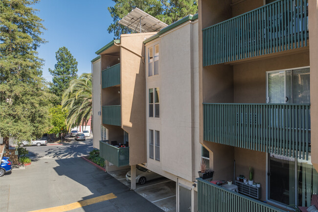 Greenwood Condominiums in Walnut Creek, CA - Foto de edificio - Building Photo