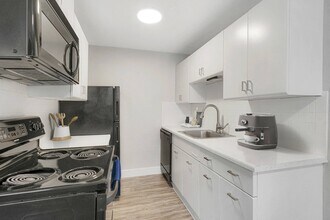 1594 S Albion in Denver, CO - Foto de edificio - Building Photo