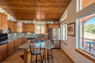 24101 US Hwy 285 in Buena Vista, CO - Building Photo - Building Photo