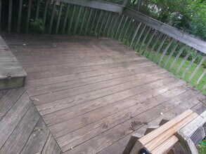 1307 Belmar Pl in Ann Arbor, MI - Building Photo - Building Photo