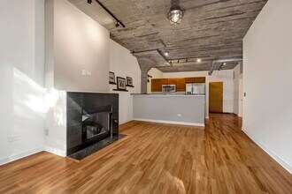 1151 W 14th Pl in Chicago, IL - Building Photo - Building Photo