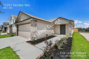 15203 Sacred Ibis in San Antonio, TX - Building Photo