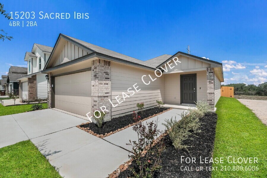 15203 Sacred Ibis in San Antonio, TX - Foto de edificio