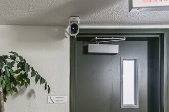 1025 Swanson St in Houston, TX - Foto de edificio - Building Photo