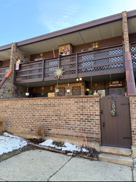 203 Kenneth Cir in Elgin, IL - Building Photo