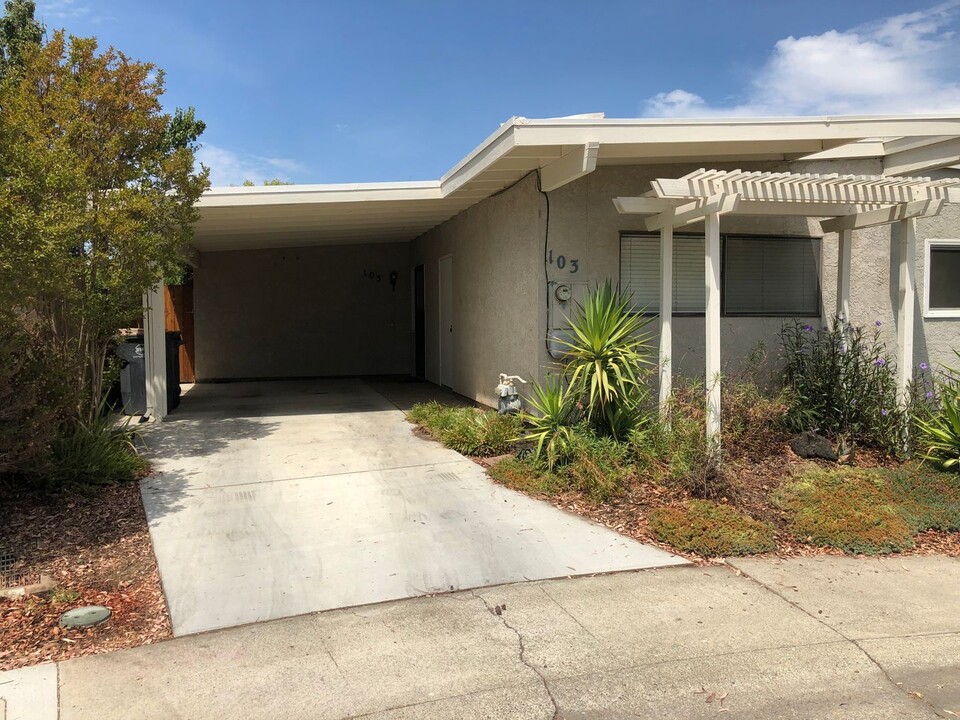 103 Luz Pl in Davis, CA - Building Photo