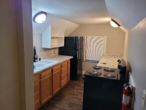 1010 N Pine St in Lansing, MI - Building Photo - Building Photo