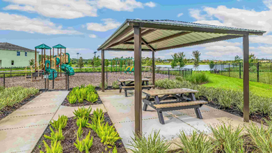 3669 Copper Beech Dr in Land O Lakes, FL - Building Photo - Building Photo