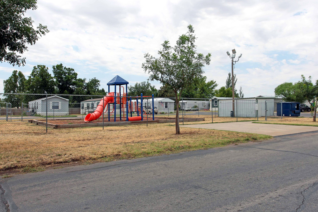 Watson Estates in Chickasha, OK - Building Photo