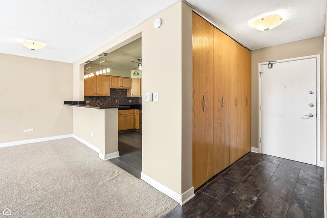 250 Ridge Ave in Evanston, IL - Building Photo - Building Photo