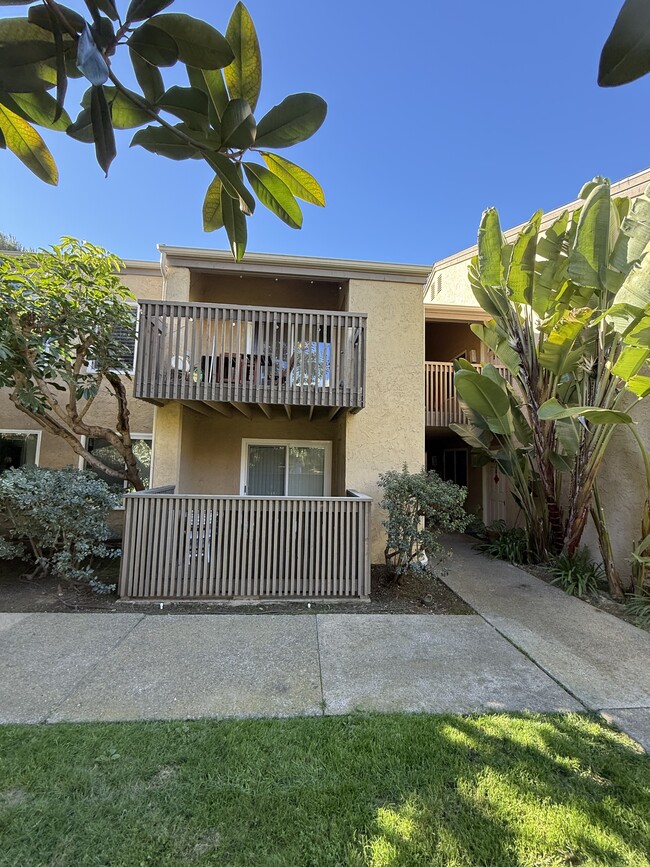 property at 3056 Via Alicante