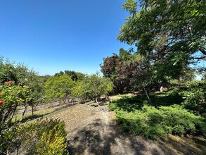 12660 Viscaino Ct in Los Altos Hills, CA - Building Photo - Building Photo