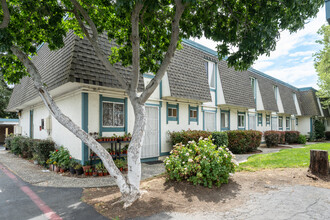 3905 Clayton Rd in Concord, CA - Foto de edificio - Building Photo