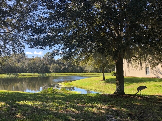 5826 Fishhawk Ridge Dr in Lithia, FL - Building Photo - Building Photo