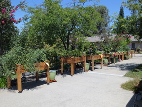 Auburn Ravine Terrace in Auburn, CA - Foto de edificio - Building Photo