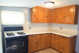 203 N Lewis Ave in Sioux Falls, SD - Building Photo - Building Photo