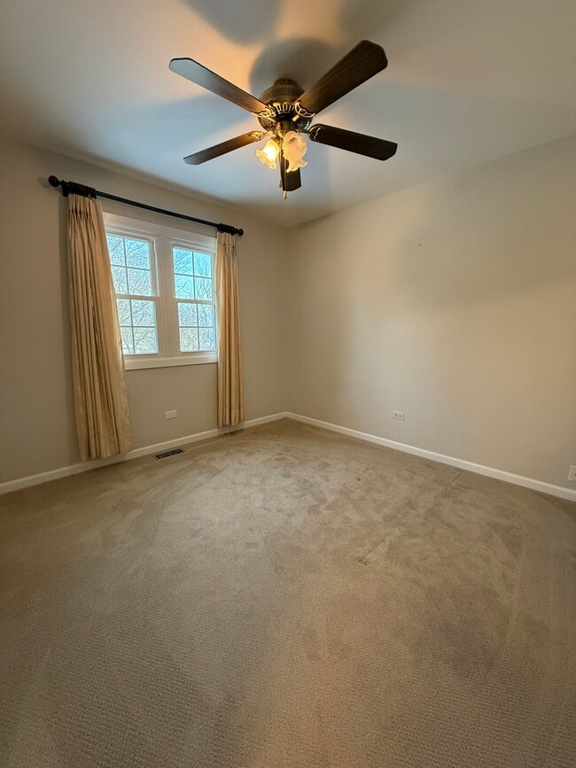 284 Washo Dr in Lake Zurich, IL - Foto de edificio - Building Photo