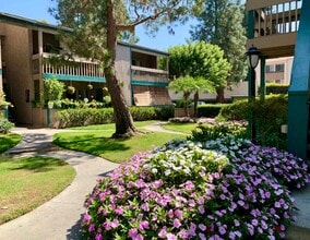 Daisy Apartments in Garden Grove, CA - Building Photo - Building Photo