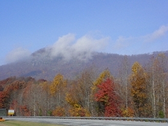 Pinewood Mobile Home Park in Columbus, NC - Building Photo - Other