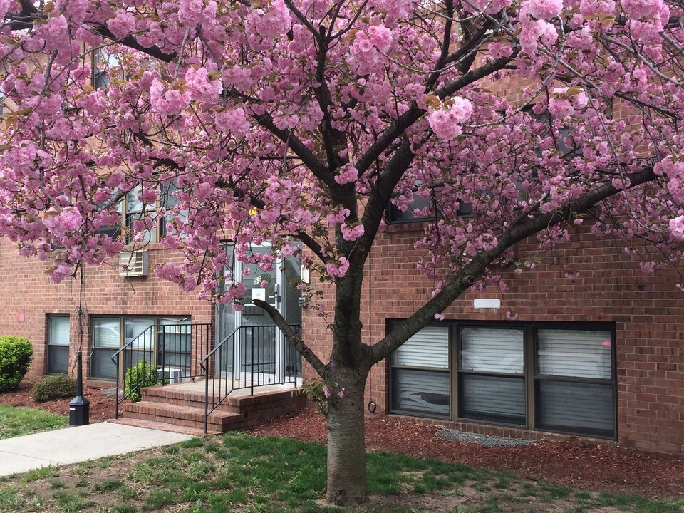 55 Brookside Ave in New Brunswick, NJ - Building Photo