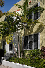 916 S Rome in Tampa, FL - Foto de edificio - Building Photo