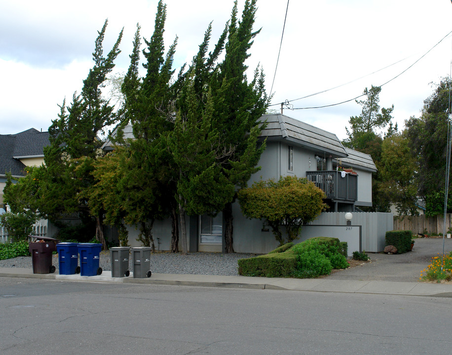 207 Piper St in Healdsburg, CA - Building Photo