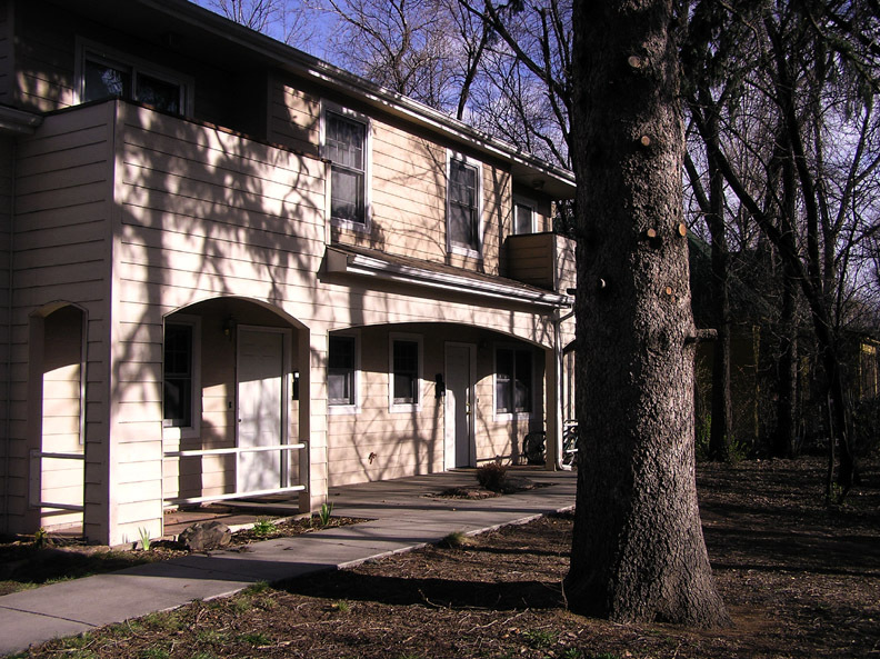 1010 Remington Street, Unit D in Fort Collins, CO - Building Photo