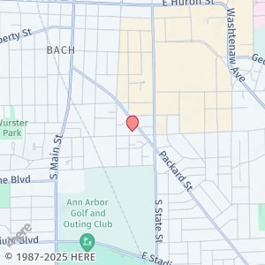 511 Hill in Ann Arbor, MI - Foto de edificio