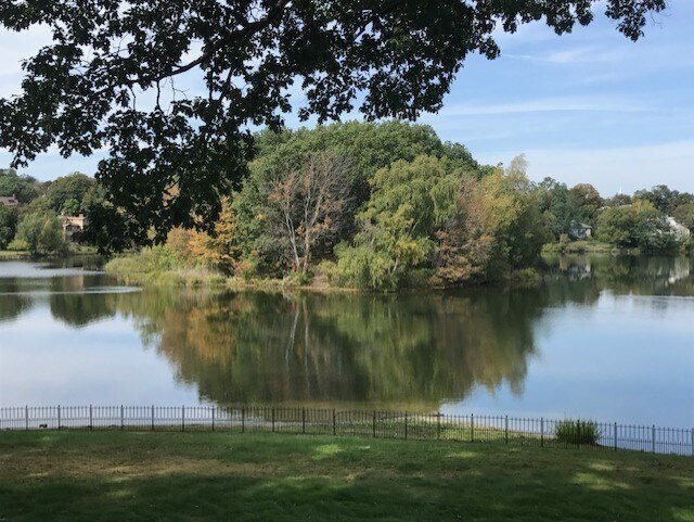 24 Sheraton Park in Arlington, MA - Building Photo