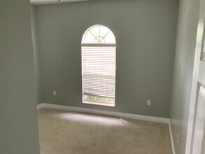 6813 Bluff Meadow Ct in Wesley Chapel, FL - Building Photo - Building Photo