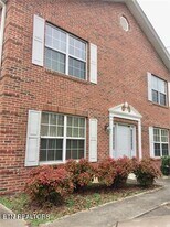 203 Sweetgum Ln in Oak Ridge, TN - Building Photo