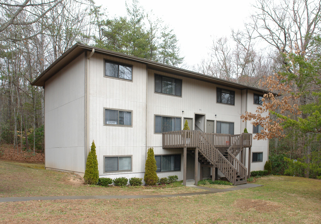 356 Genesis Cir in Black Mountain, NC - Building Photo