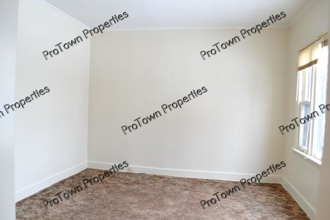 411 Krakar Ave in Joliet, IL - Building Photo - Building Photo