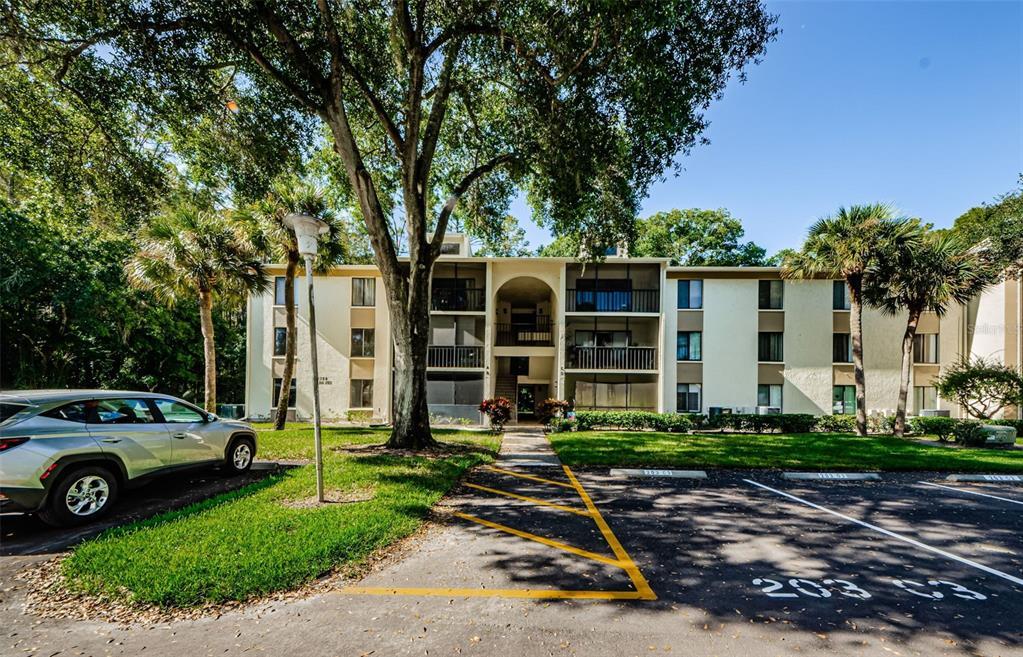 1398 Shady Pine Way in Tarpon Springs, FL - Building Photo