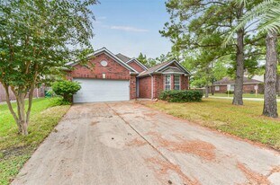 15019 Trumpet Vine Ln in Cypress, TX - Building Photo