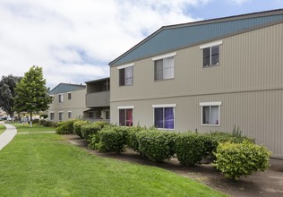 Garden Court in Salinas, CA - Building Photo - Building Photo