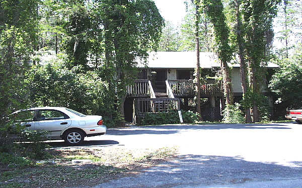 Park Drive Apartments in Clearwater, FL - Building Photo