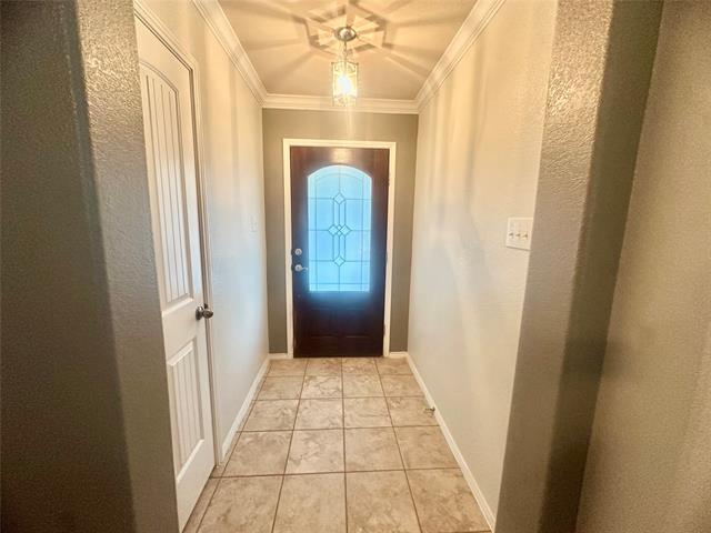 9029 Sundance Trail in Aubrey, TX - Building Photo - Building Photo