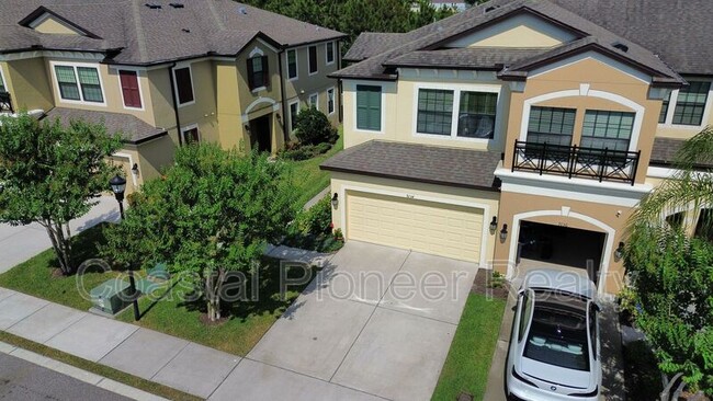 9134 Fox Sparrow Rd in Tampa, FL - Foto de edificio - Building Photo