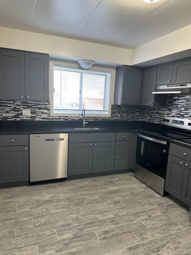 1400 Carol St, Unit TWO BEDS in Park Ridge, IL - Building Photo - Building Photo