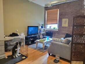 4-6 Sheridan Ave in Albany, NY - Building Photo - Building Photo