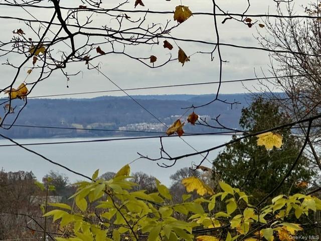 35 Dickinson Ave in Nyack, NY - Building Photo - Building Photo