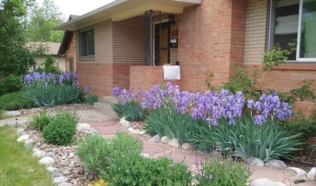 723 Stover St-Unit -723 in Fort Collins, CO - Building Photo - Building Photo