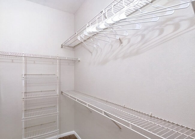 17111 Hafer Rd in Houston, TX - Building Photo - Building Photo