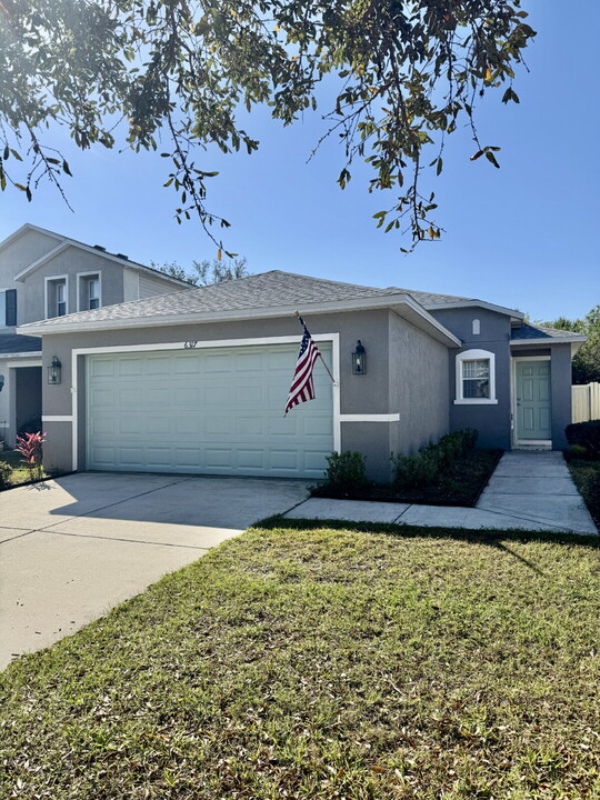 6317 Cherry Blossom Trail in Gibsonton, FL - Building Photo